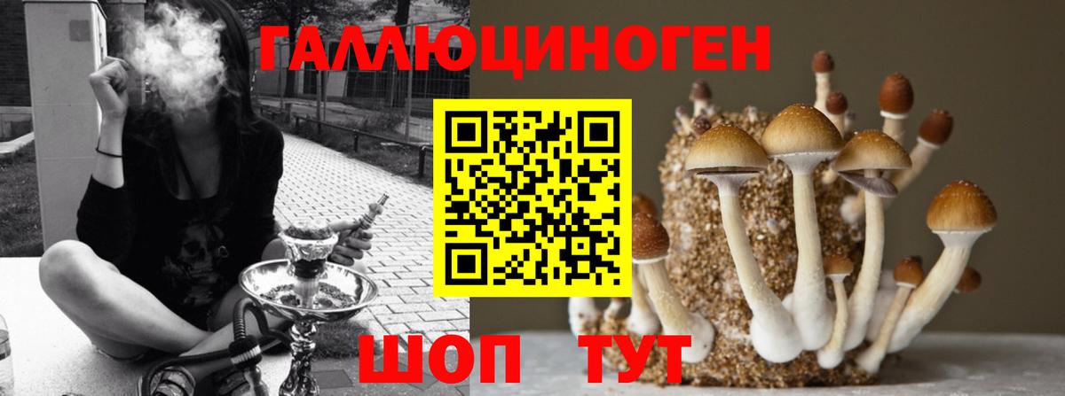 Галлюциногенные грибы MAGIC MUSHROOMS  Вход с VPN  Галлюциногенные грибы мухоморы  Лиски 